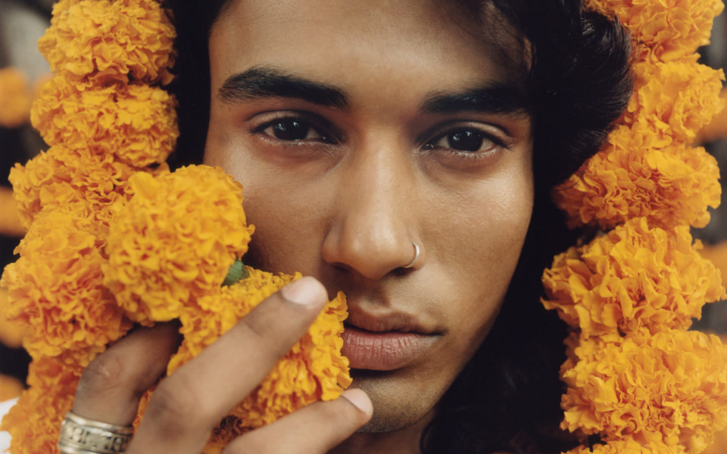 OyeYaar, concentré de curcuma bio