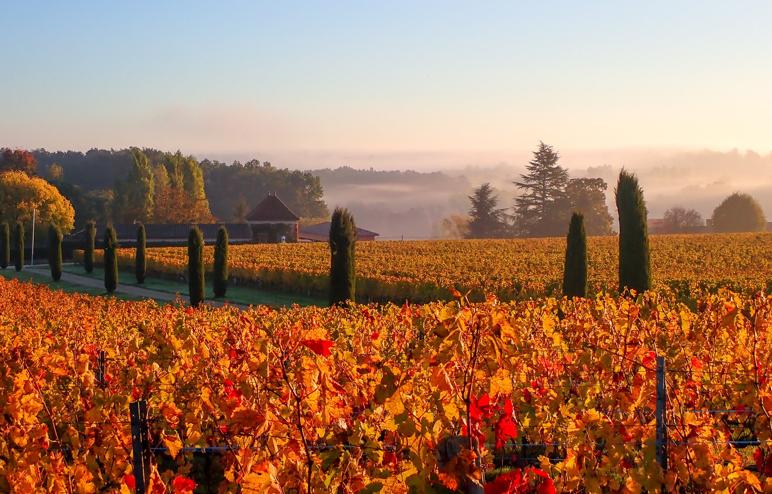 Château Martet, domaine viticole Bordeaux Sainte-Foy